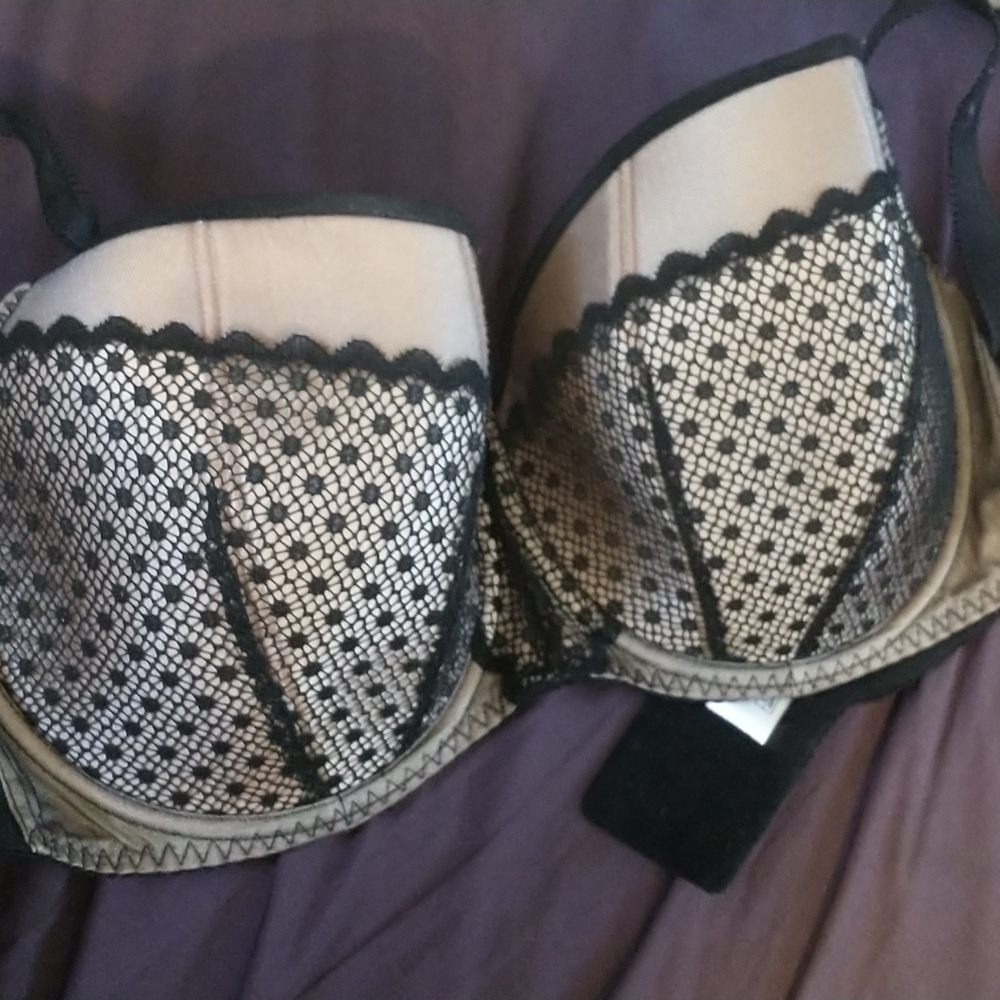 40ff curvy Kate bra